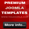 Themify Wordpress Themes